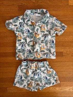 Kids Bluey Outfit